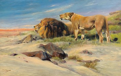 Coppia di leoni nella savana da Wilhelm Kuhnert